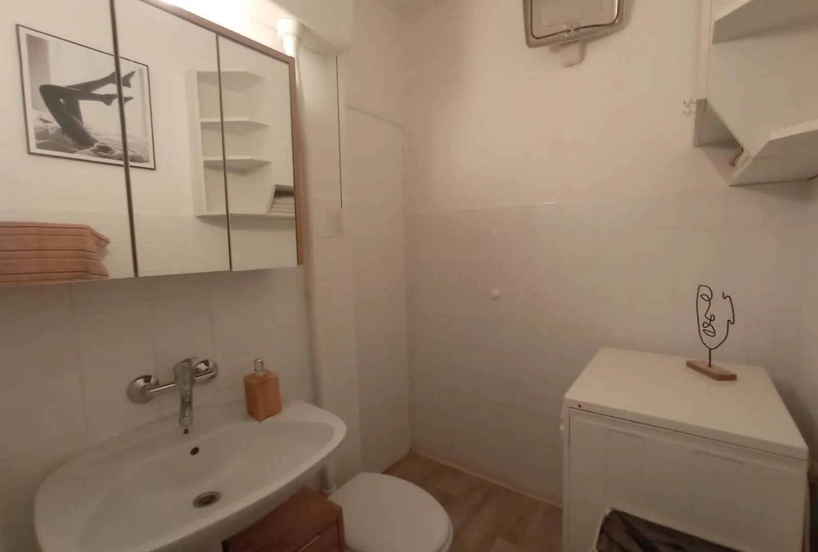 Tesla Apartment Split